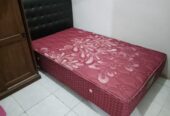 springbed multibed set tebal 30cm