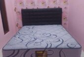 springbed multibed set tebal 30cm