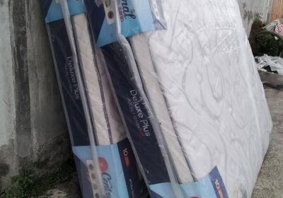 484305955_629840670014815_467089166483040873_n-Copy-3-Copy