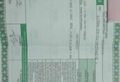 Jual beli emas