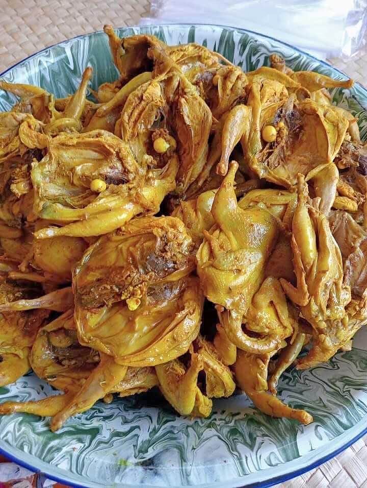 Ready lagi puyuh ungkap