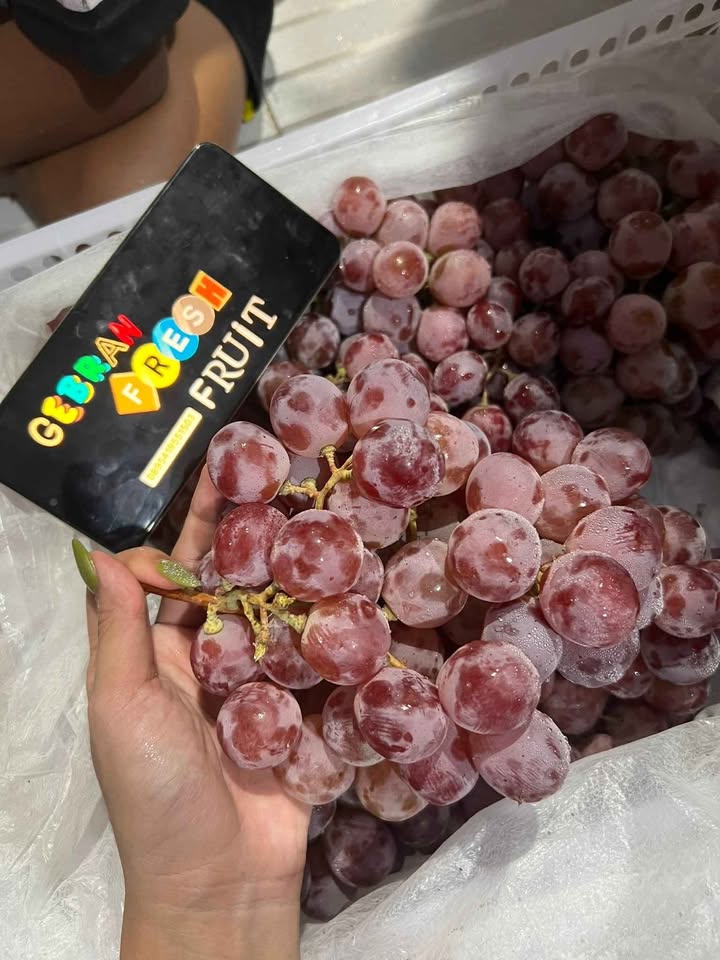 Buah Import