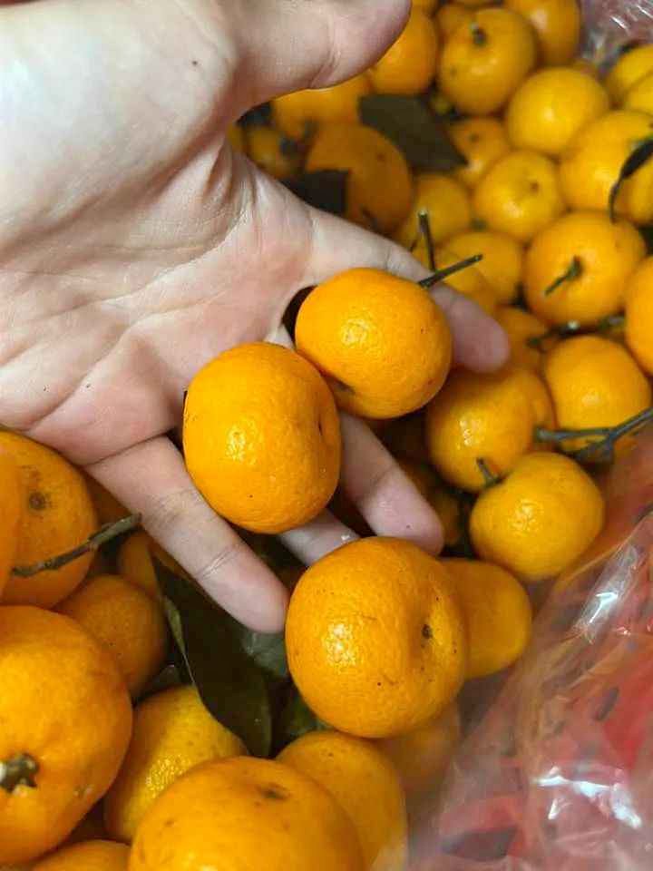 Buah Import