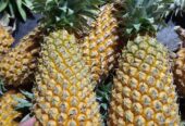 Ready nanas madunya
