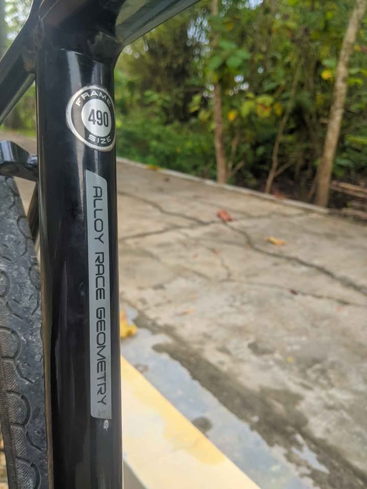 Sepeda Roadbike