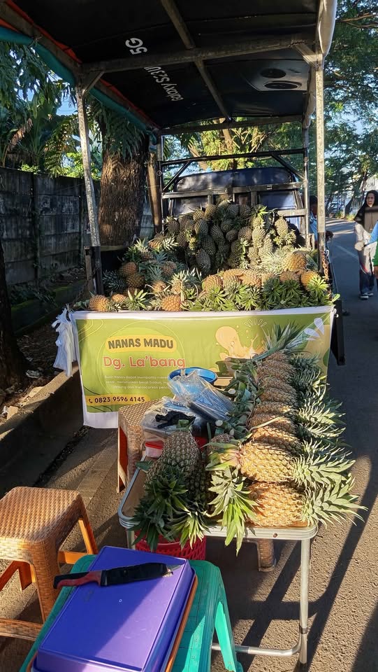 Ready nanas madunya