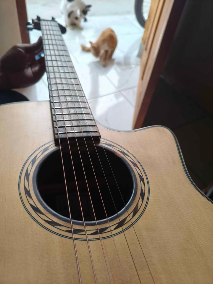 Dijual gitar merk Bromo ciantra