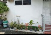 Disewakan rumah 3 KT, 2 KM, isian wifi, kulkas, AC, PAM PDAM, Dispenser, meja makan, peralatan dapur + kompor, peralatan makan, meja makan, tempat tidur, dekat uty ringroad utara, dekat kemana mana.