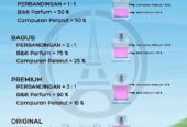 Paris Parfum Berkualitas sintang