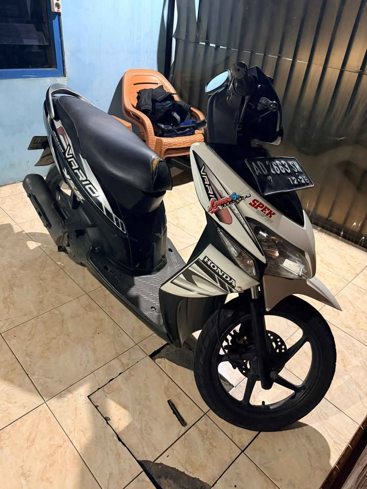 2006 Vario