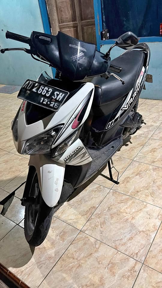 2006 Vario
