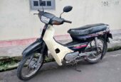 1991 Honda gren bulus