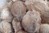 Kelapa tua Santan