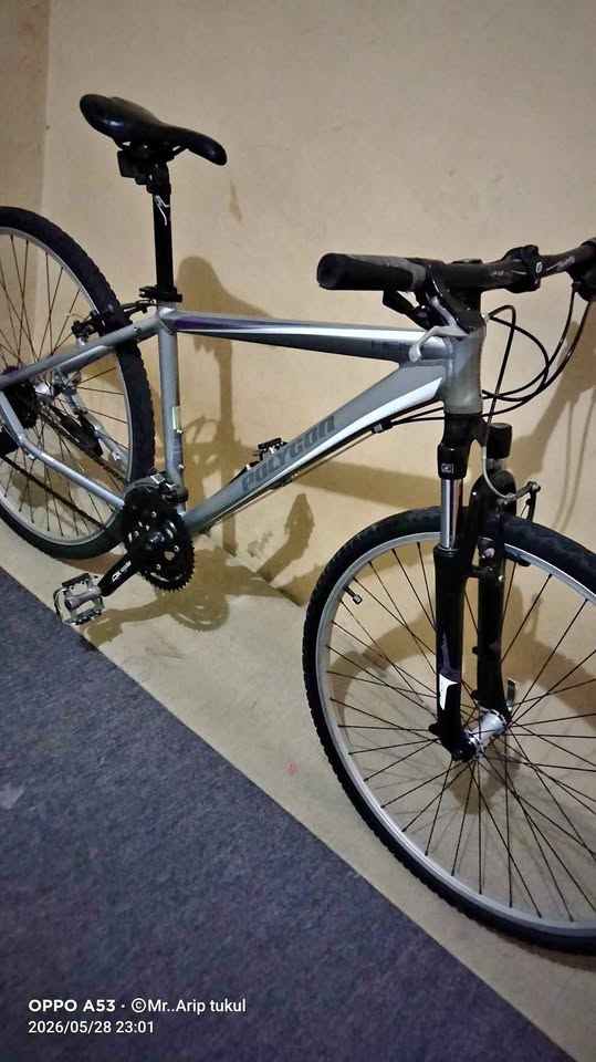 Poligon haeis 2.0 mulus uk 28/700c