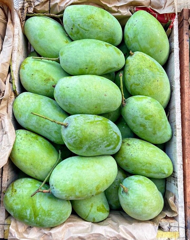 Buah mangga dermayu siap antar