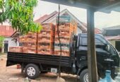 Dijual ayam kampung dan telor telur ayam kampung di daerah kaban jahe tanah karo sumatera utara 082169138952
