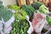 Sayuran grosir harga murah
