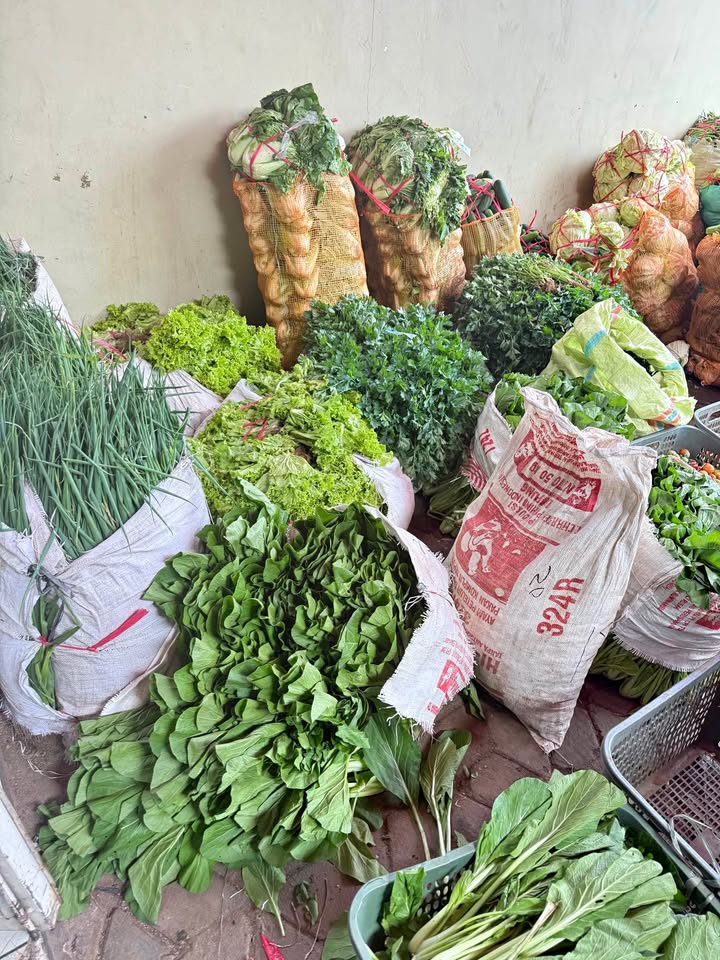 Sayuran grosir harga murah