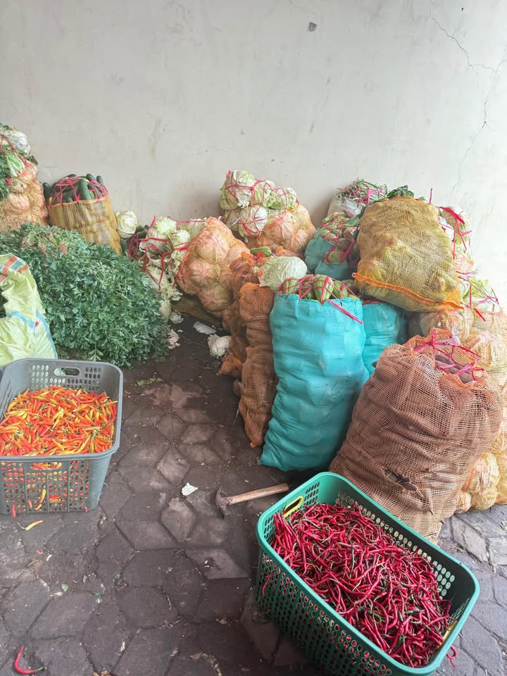 Sayuran grosir harga murah