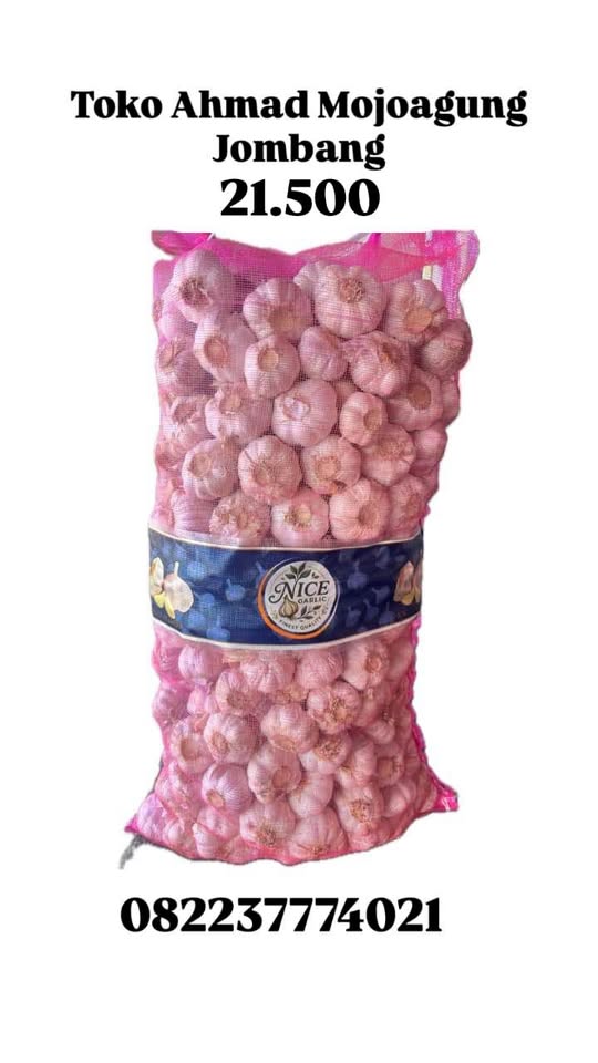 Bawang Putih besar bagus kering