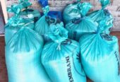 Beras kampung pulen putih