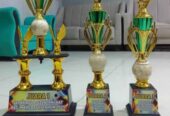Menyediakan Piala Berbagai Model