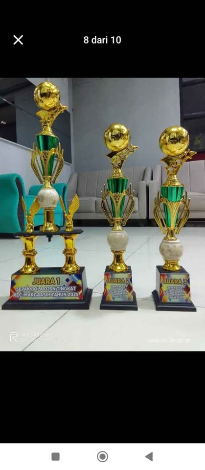 Menyediakan Piala Berbagai Model