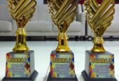 Menyediakan Piala Berbagai Model