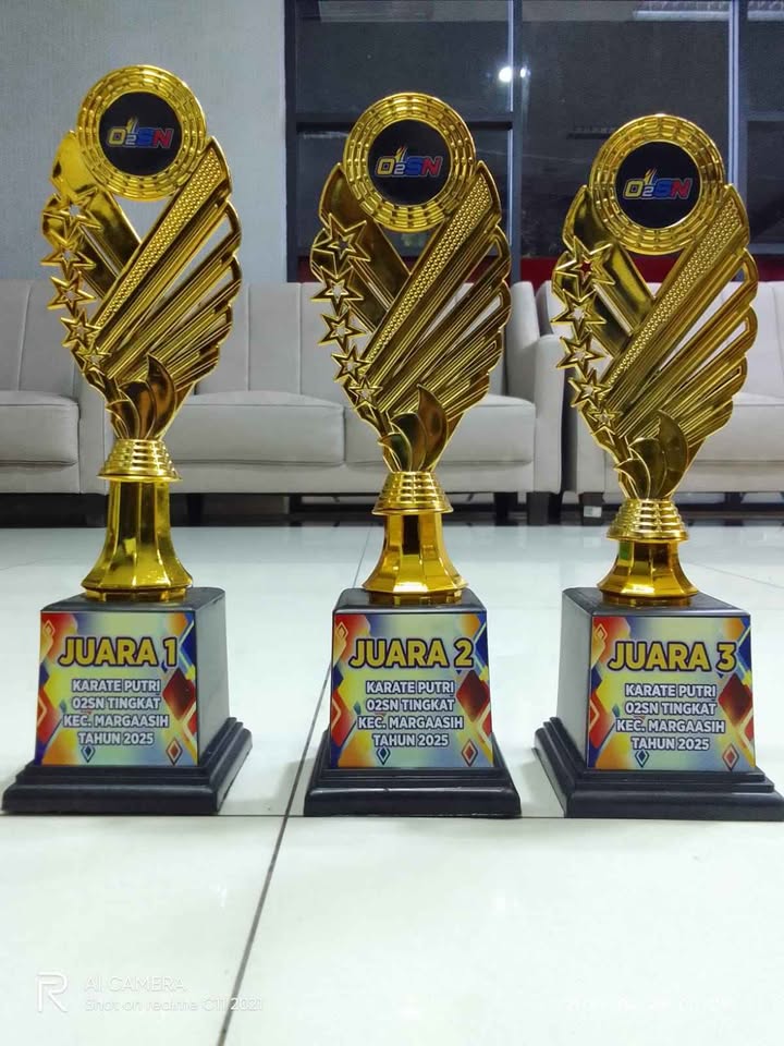 Menyediakan Piala Berbagai Model