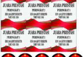 Menyediakan Piala Berbagai Model