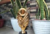 Menyediakan Piala Berbagai Model