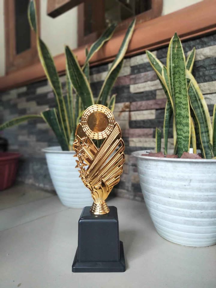 Menyediakan Piala Berbagai Model