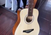Gitar Custom Cort 3/4 Semi