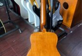 Gitar Custom Cort 3/4 Semi