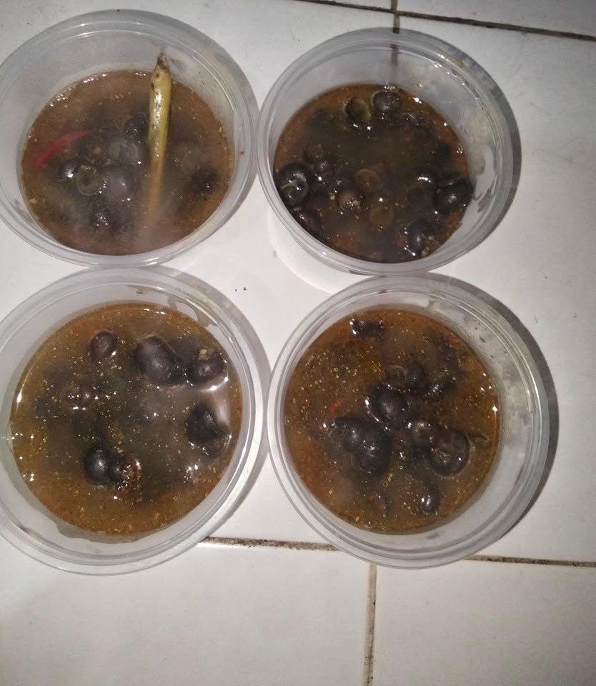 Makanan lezat enak dan bergizi maknyus
