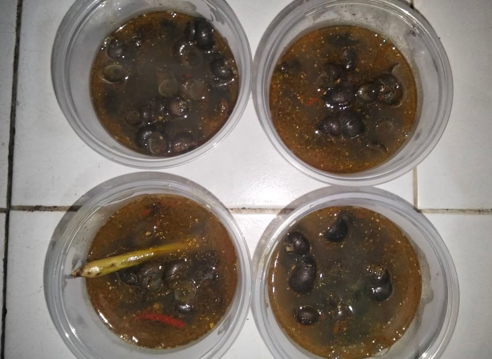 Makanan lezat enak dan bergizi maknyus