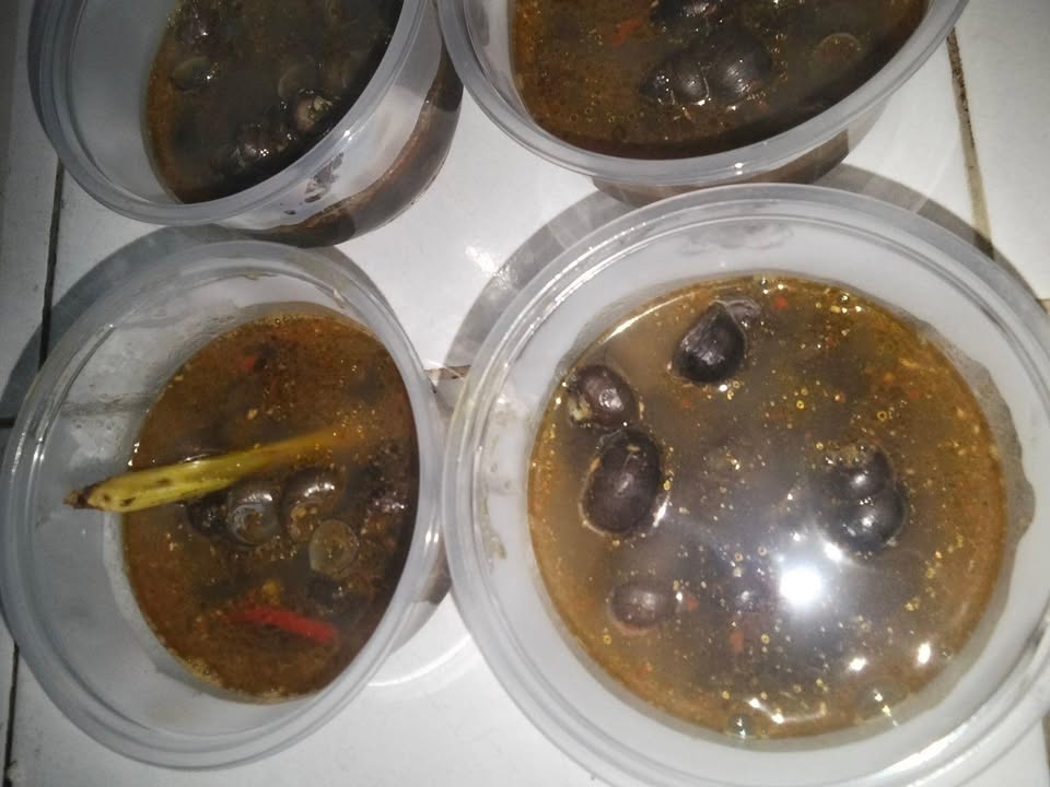 Makanan lezat enak dan bergizi maknyus