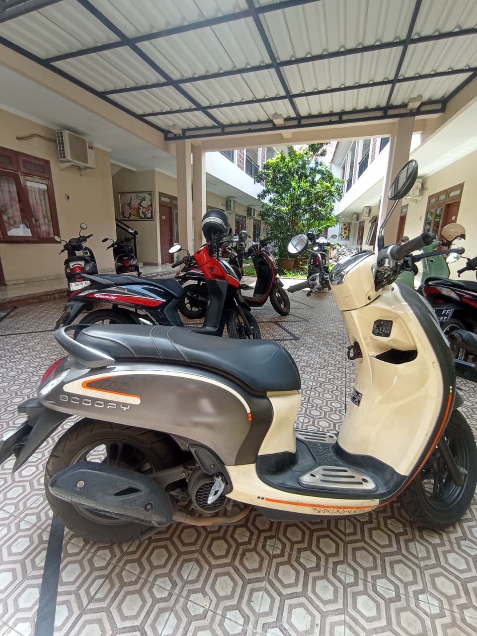 Jual Motor Scoopy Fashion Brown 2023
