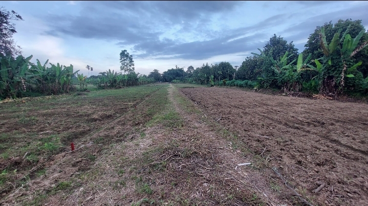 JUAL TANAH LUAS 1.854 M² HAMPARAN PERAK