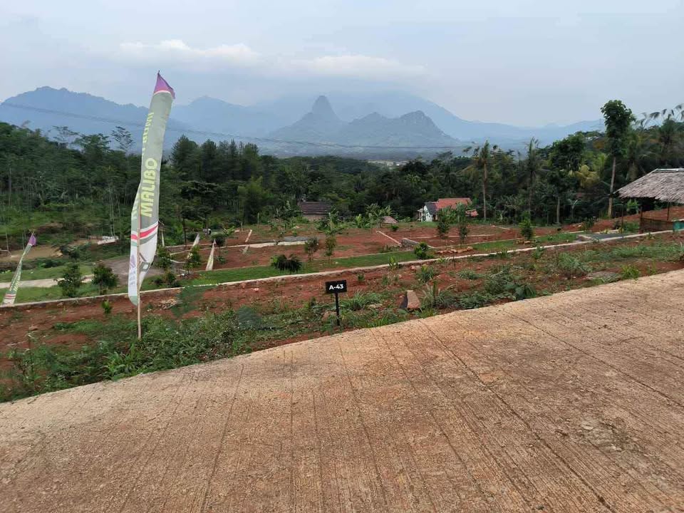 Tanah Murah SHM Dijual BU Lokasi Puncak Cipanas