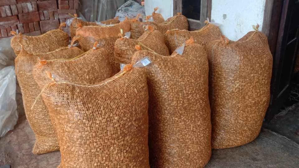 Kacang tanah/suuk kering super
