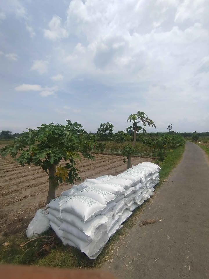 Pupuk organik dijamin kualitas super