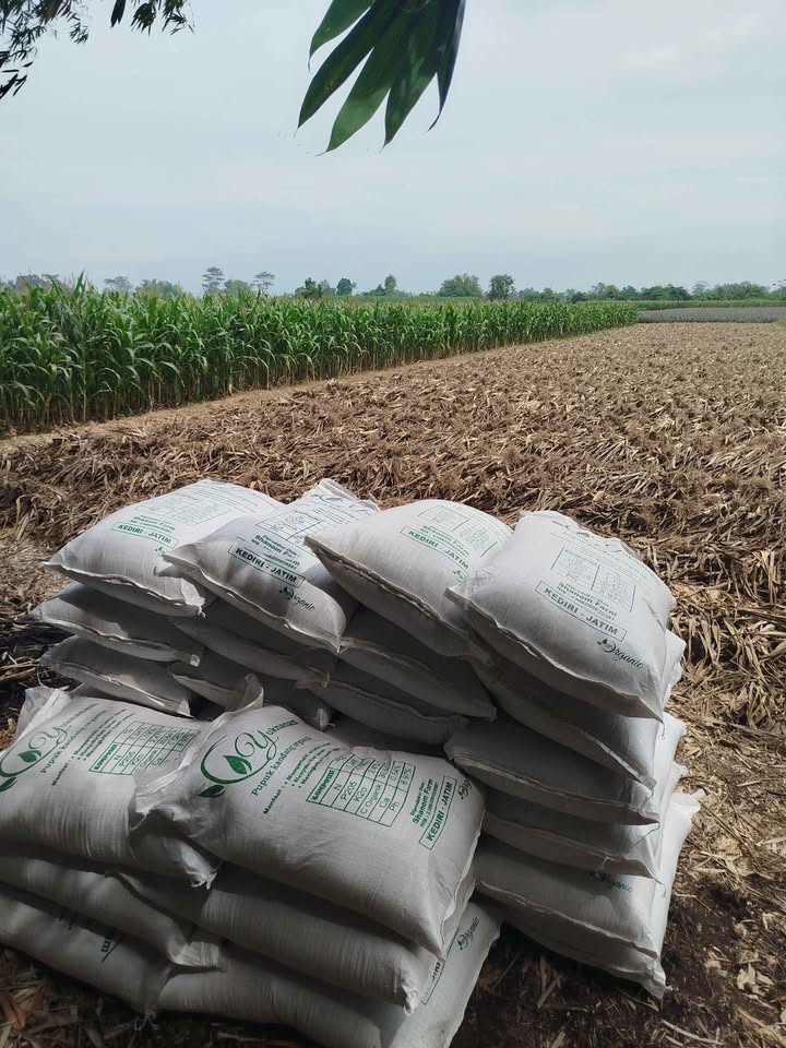 Pupuk organik dijamin kualitas super