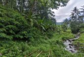 Dijual Tanah Kebon Manglid Sumedang