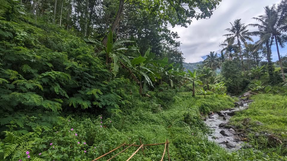 Dijual Tanah Kebon Manglid Sumedang