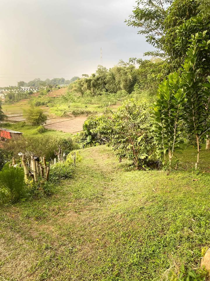 🌿 VILLA CANTIK DI BANJARAN – VIEW GUNUNG, LUAS & SEJUK! 🌄