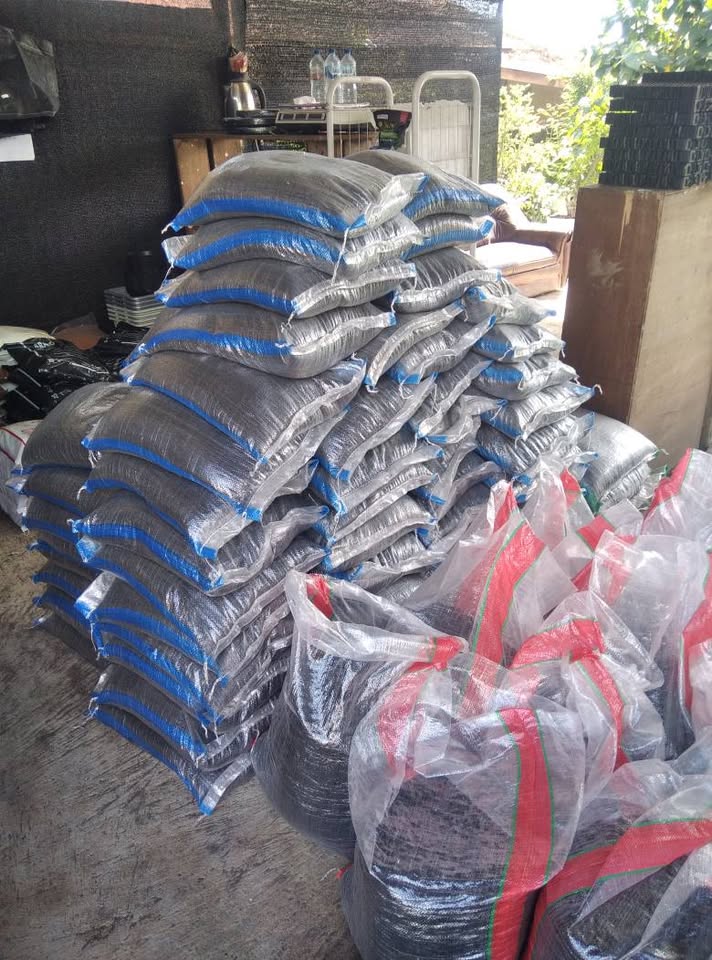 Pupuk sekam penyubur tanaman