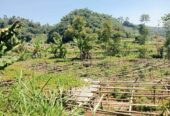 Tanah murah langsung berdampingan sungai, akses bisa untuk lewat mobil