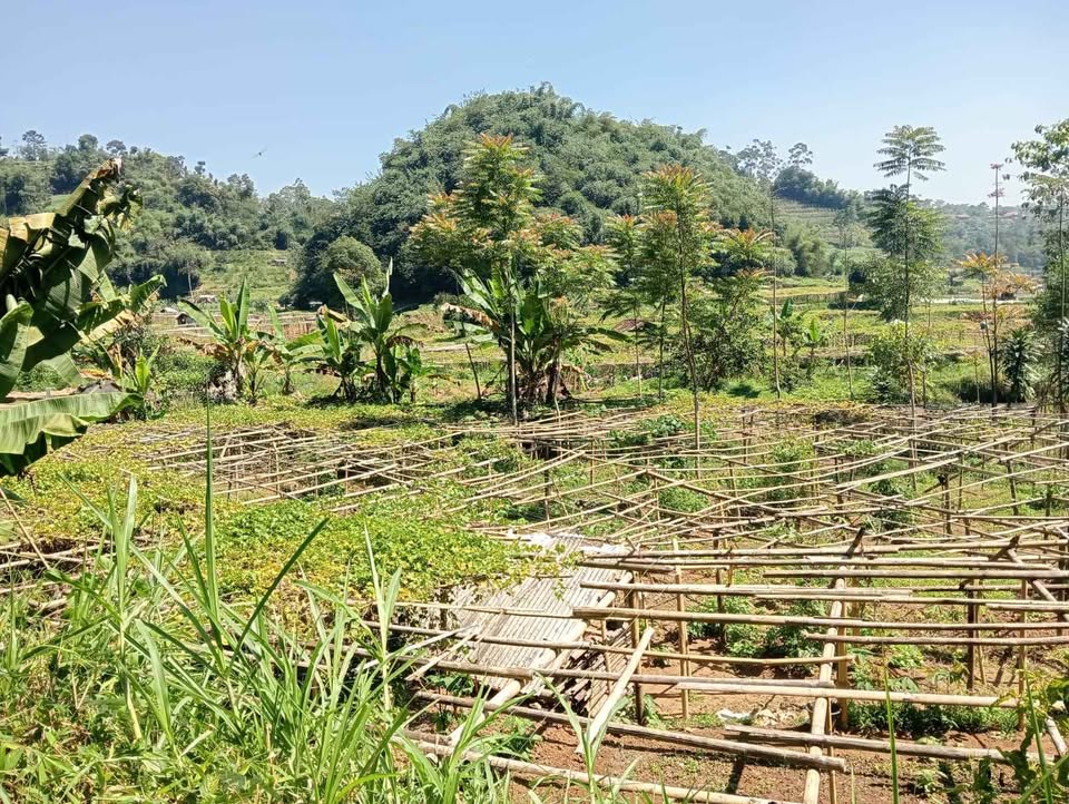 Tanah murah langsung berdampingan sungai, akses bisa untuk lewat mobil