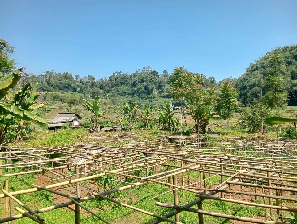 Tanah murah langsung berdampingan sungai, akses bisa untuk lewat mobil
